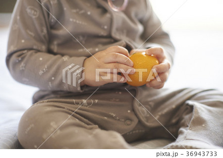 フルーツ 果物 みかん 36943733