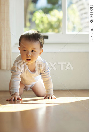 男 男性 男の子 36943899