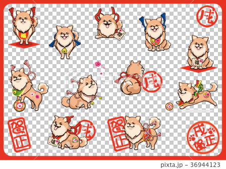 新年賀卡博美犬03 36944123