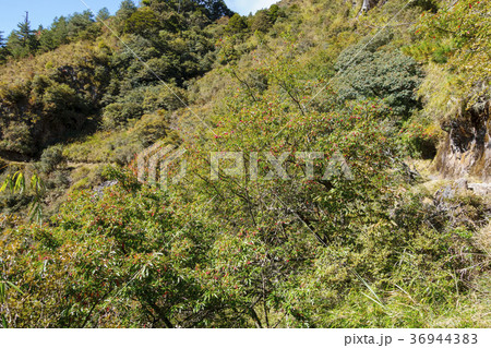 青い空 晴れた空 晴れ空 36944383