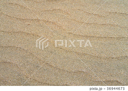 九十九里浜の砂浜 36944673