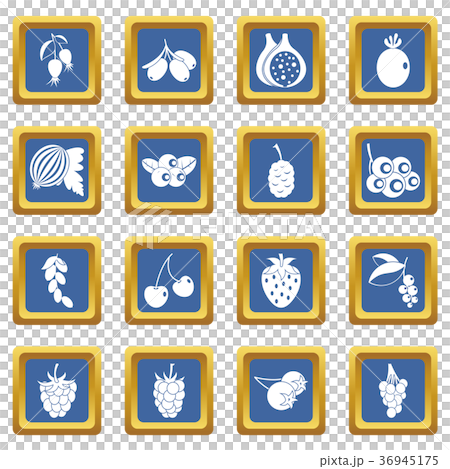 Berries icons set blue 36945175