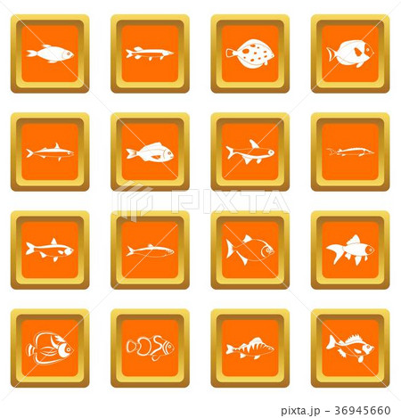 Fish icons set orange Fish icons set orange 36945660