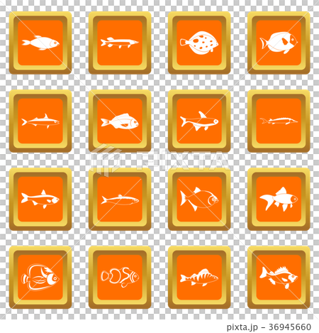 Fish icons set orange Fish icons set orange 36945660