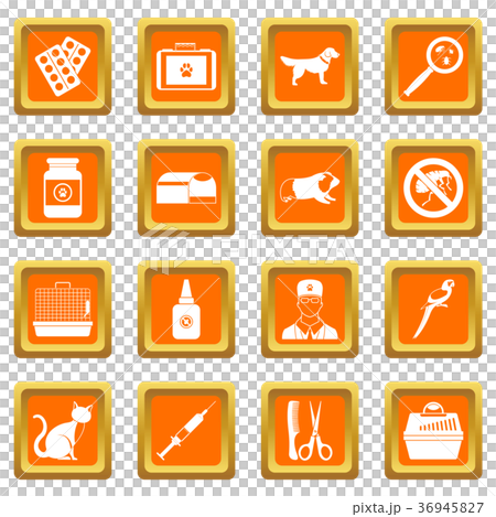 Veterinary icons set orange 36945827