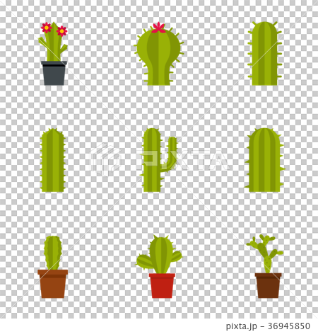 Types of cactus icon set, flat style 36945850