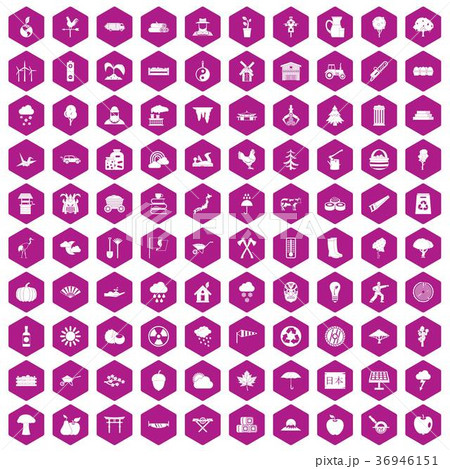 100 tree icons hexagon violet 100 tree icons hexagon violet 36946151