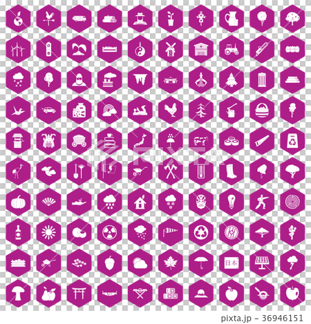 100 tree icons hexagon violet 100 tree icons hexagon violet 36946151