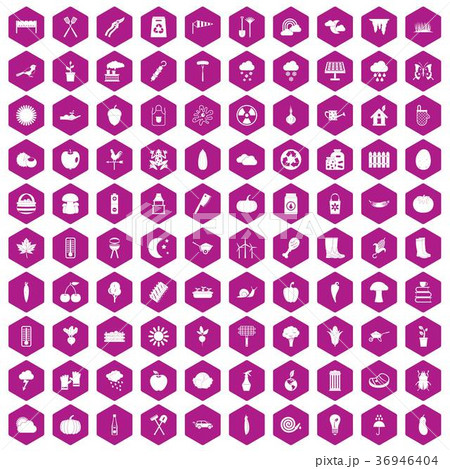 100 vegetables icons hexagon violet 36946404