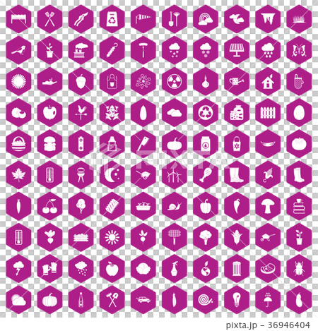100 vegetables icons hexagon violet 36946404