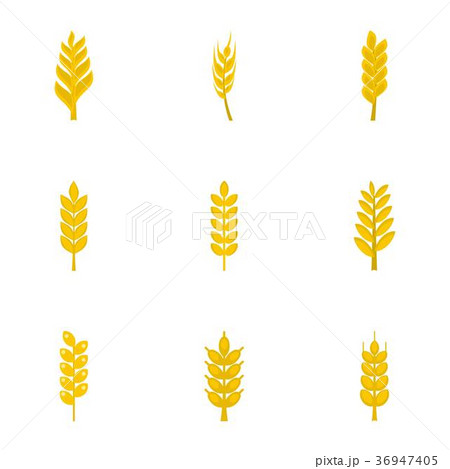 Cereal grain icon set, flat style Cereal grain icon set, flat style 36947405