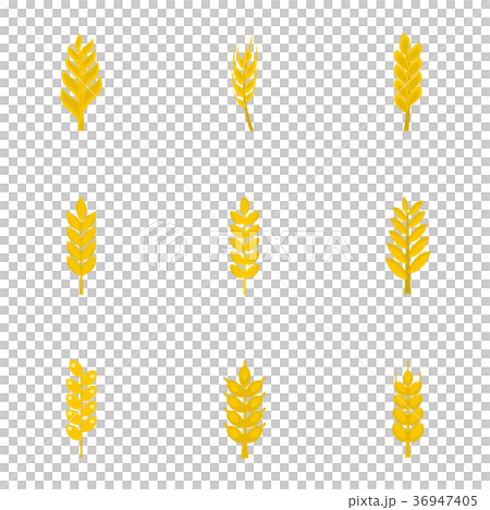 Cereal grain icon set, flat style Cereal grain icon set, flat style 36947405