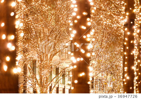 イルミネーション イルミネーション 36947726