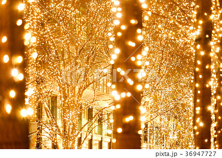 イルミネーション イルミネーション 36947727