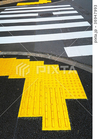 横断歩道と点字ブロック 視覚障害者誘導用ブロック の写真素材