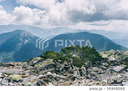 Foggy Summer Morning in the Mountains. Foggy Summer Morning in the Mountains. 36948088