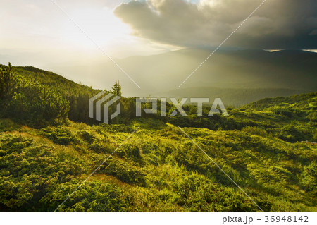 Mystic wilderness nature landscape. Mystic wilderness nature landscape. 36948142