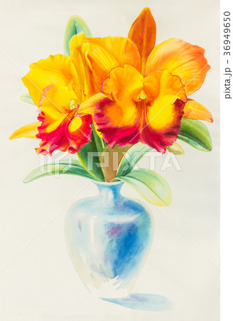 Watercolor original painting yellow orchid flowers 36949650