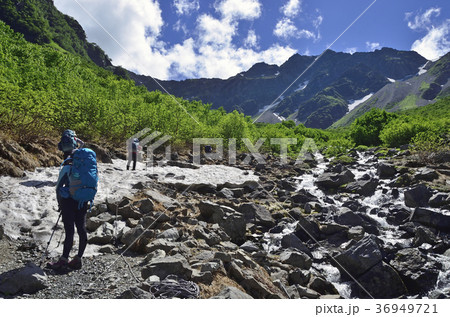 涸沢カールに向かう登山者 涸沢カールに向かう登山者 36949721