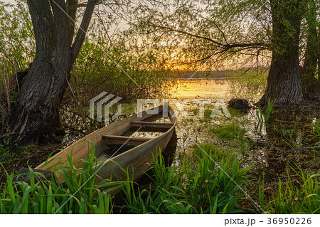 Fishing boats on green grass water, sunrise, fog Fishing boats on green grass water, sunrise, fog 36950226
