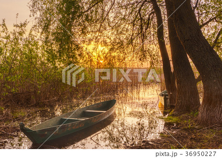 Fishing boats on green grass water, sunrise. Fishing boats on green grass water, sunrise. 36950227