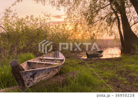 Fishing boats on green grass water, sunrise. Fishing boats on green grass water, sunrise. 36950228