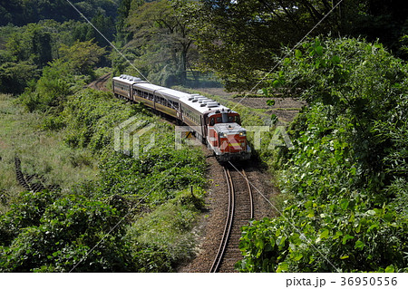 わたらせ渓谷鐵道わたらせ渓谷号 36950556