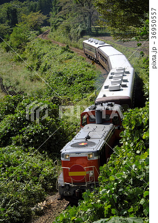 わたらせ渓谷鐵道わたらせ渓谷号 36950557