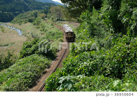 渡良瀬川とわたらせ渓谷鐵道 36950604