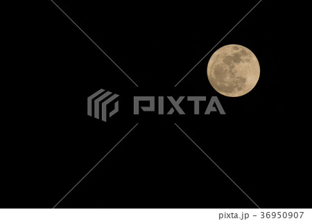 Full Moon in the Night  time with Black sky  36950907