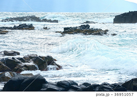 黄金岬の波濤 36951057