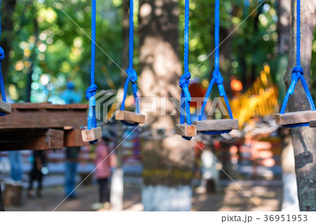 Adventure park ropes for climbing Adventure park ropes for climbing 36951953