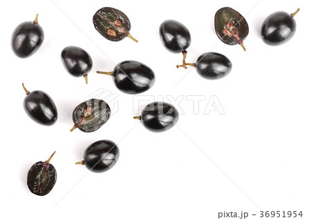 Dark grapes isolated on white background with copy 36951954