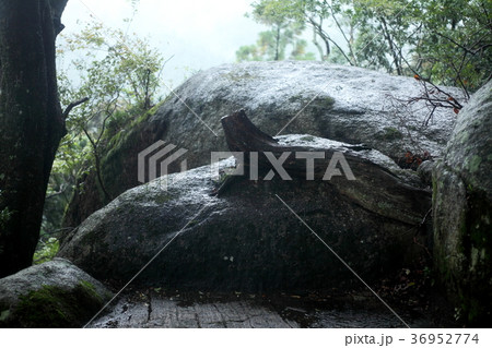 笠置山自然公園の奇岩 笠置山自然公園の奇岩 36952774