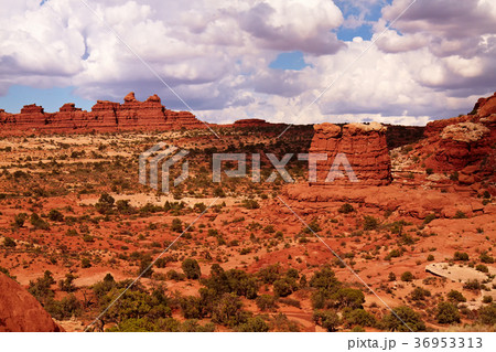 Red Desert Red Desert 36953313