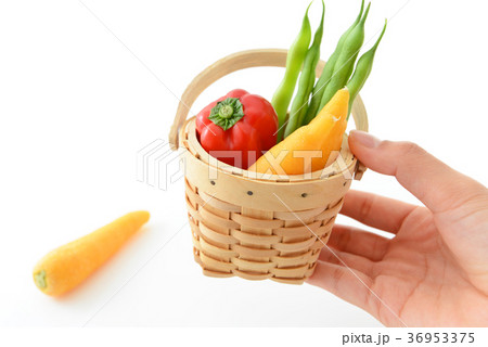 新鮮な野菜 新鮮な野菜 36953375