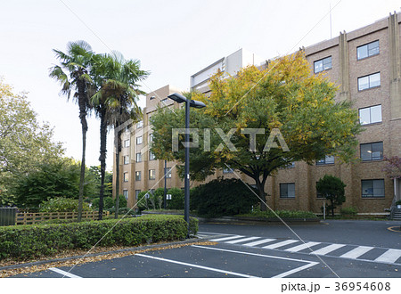 東大病院 36954608