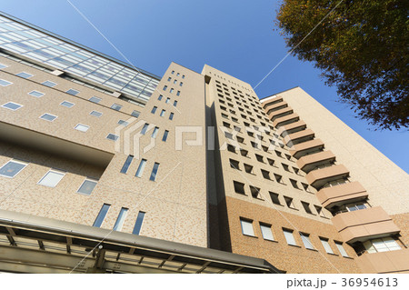 東大病院 東大病院 36954613