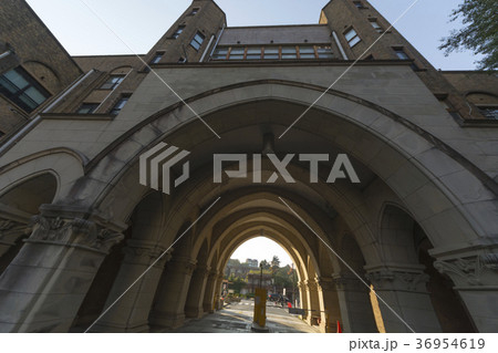 東大病院 36954619