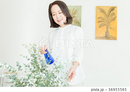 シニアのライフスタイル 36955565