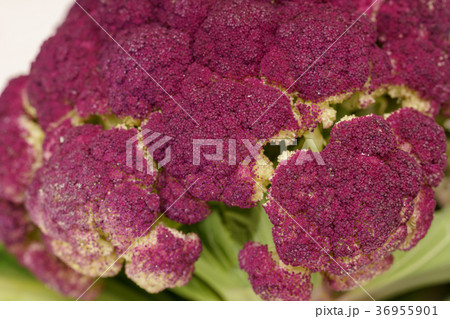 Purple Broccoli Vegan close-up macro 36955901