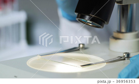 Close up of microscope and lab glass sample Close up of microscope and lab glass sample 36956353