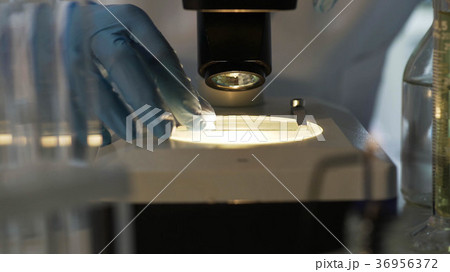 Medical scientist viewing material sample under Medical scientist viewing material sample under 36956372