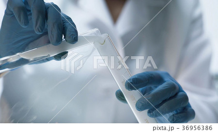 Chemical test, biochemist pouring evaporating 36956386