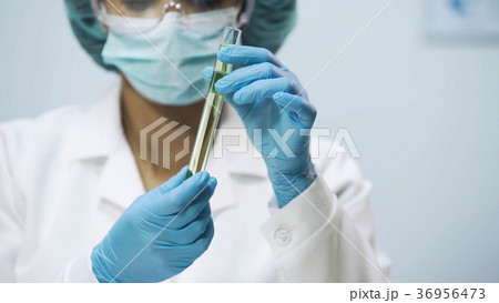 Lab worker holding tube with liquid, checking Lab worker holding tube with liquid, checking 36956473