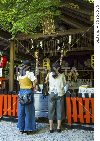 願い 36956556