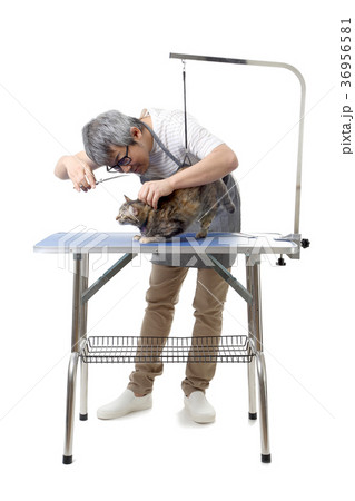 Groomer 36956581