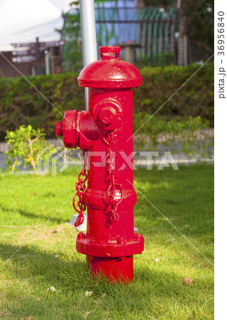 old red fire hydrant with street background. 36956840