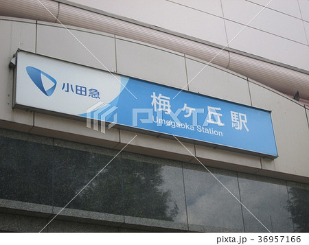 梅ヶ丘駅 梅ヶ丘駅 36957166