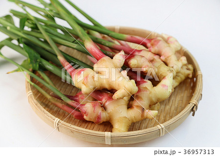 生姜 生姜 36957313